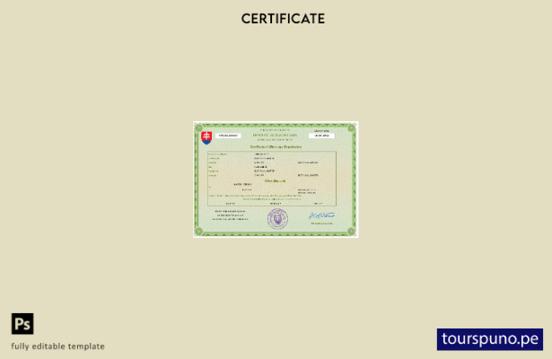 listo para imprimir certificado de matrimonio de Eslovaquia Plantilla Word y PDF
